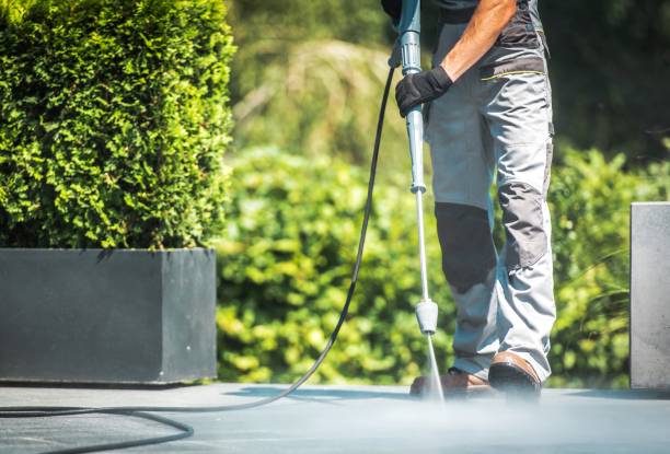Best House Exterior Washing  in Muncie, IN